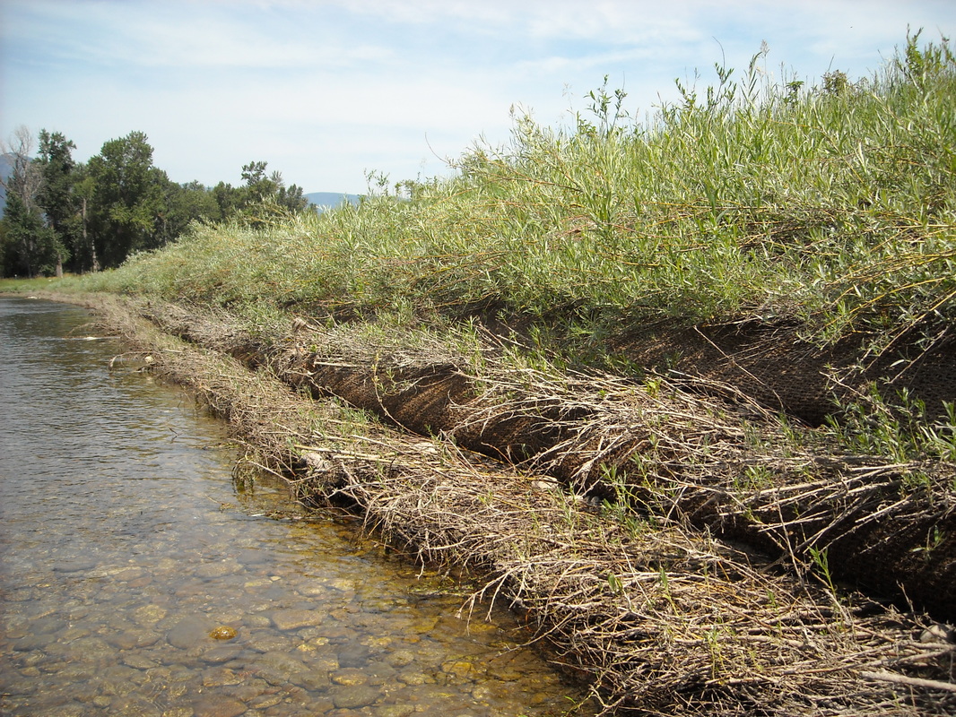 About - Ridge To River Restoration - Natural Resource Consultants ...